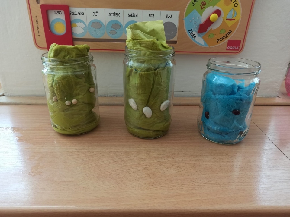 Experimentujeme, objevujeme, pozorujeme na III.třídě