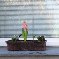 klikni pro velký obrázek