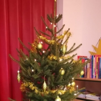 Advent, Mikuláš a Vánoce ve III.třídě