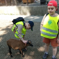 Výlet do ZOO Ostrava s výukovým programem- VI. třída