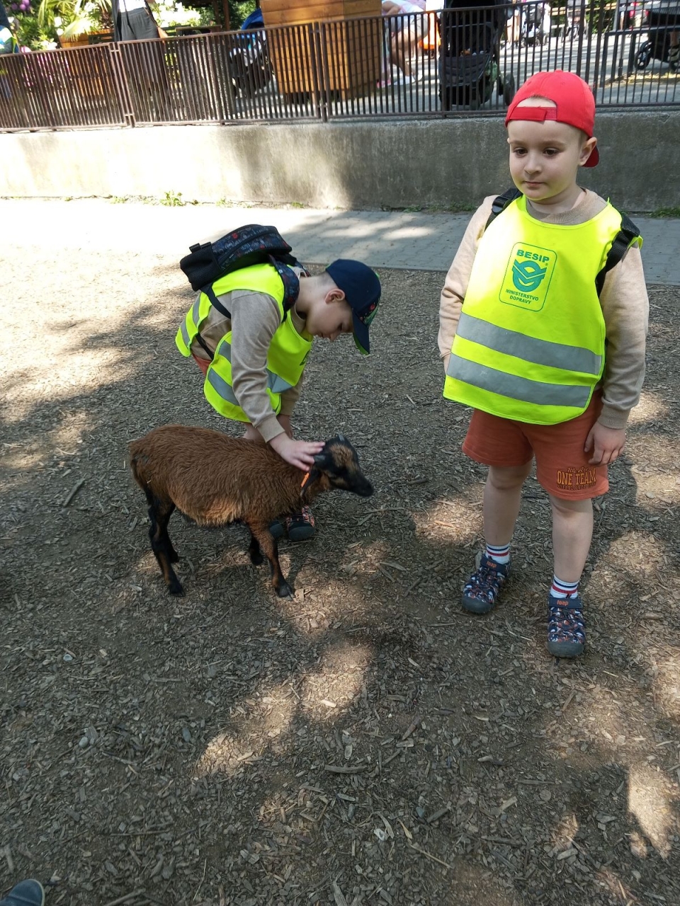 Výlet do ZOO Ostrava s výukovým programem- VI. třída