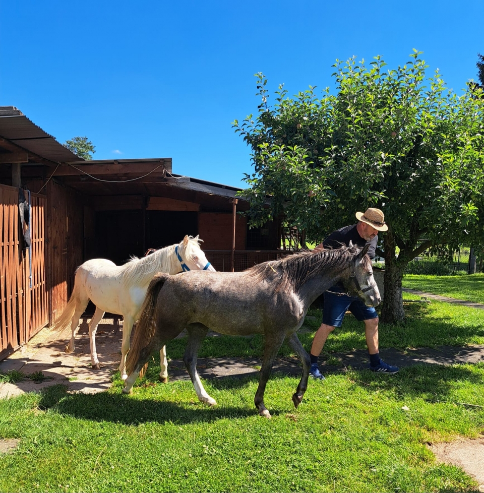 Výlet na Pony ranč- II. a V. třída